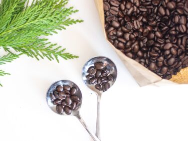 【冷蔵？冷凍？】コーヒー豆の保存方法　最適解を探して