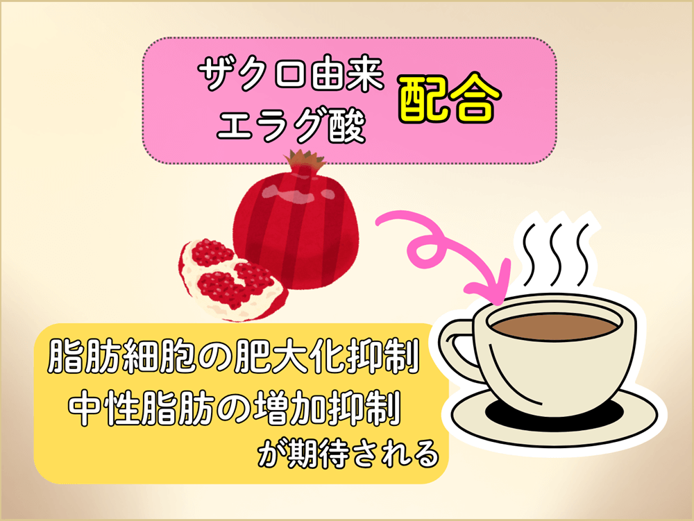 ザクロ由来のエラグ酸配合、脂肪細胞の肥大化抑制や中性脂肪の増加抑制が期待される